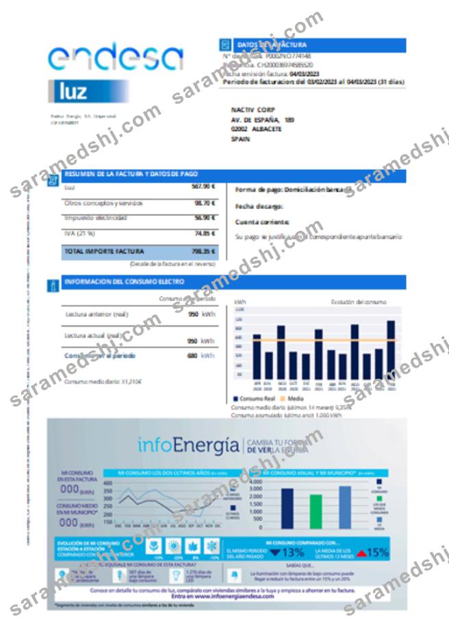 Endesa luz utility business bill  SCR